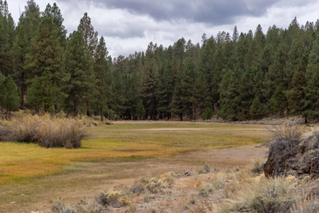 Eastern Oregon Cricket Creek Acres - image 11