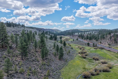 Eastern Oregon Cricket Creek Acres - image 48