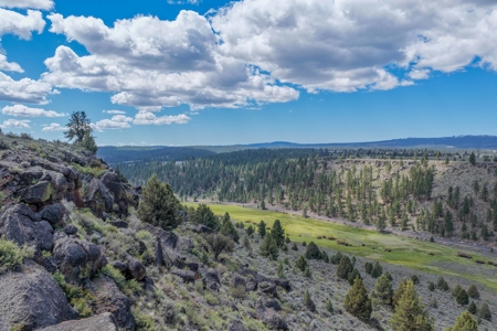 Eastern Oregon Cricket Creek Acres - image 1