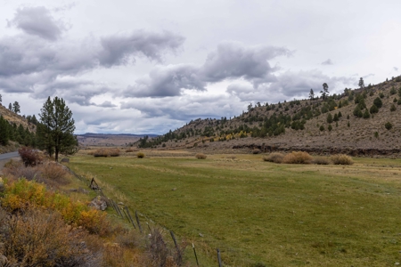Eastern Oregon Cricket Creek Acres - image 14
