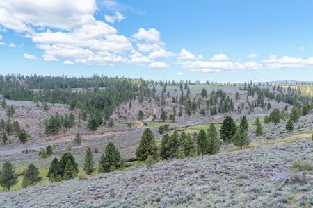 Eastern Oregon Cricket Creek Acres - image 40