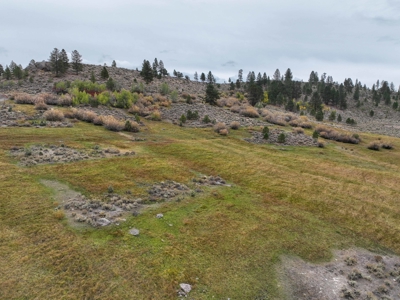 Eastern Oregon Cricket Creek Acres - image 29