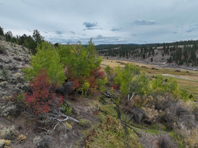 Eastern Oregon Cricket Creek Acres - image 29