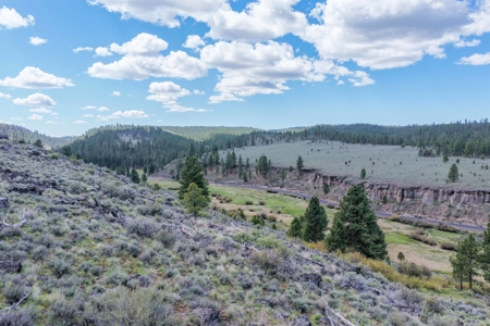 Eastern Oregon Cricket Creek Acres - image 39
