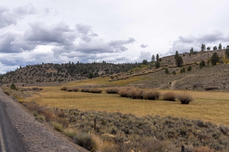 Eastern Oregon Cricket Creek Acres - image 12