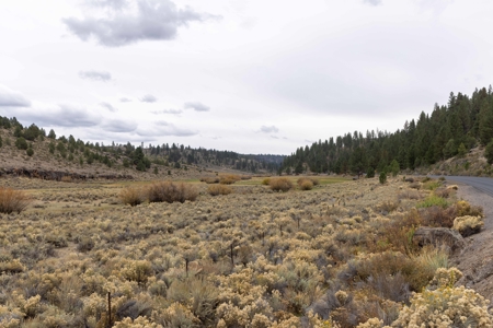 Eastern Oregon Cricket Creek Acres - image 16