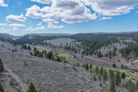 Eastern Oregon Cricket Creek Acres - image 7