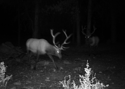 Eastern Oregon Cricket Creek Acres - image 46