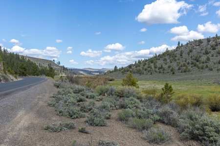 Eastern Oregon Cricket Creek Acres - image 26