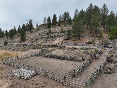 Eastern Oregon Cricket Creek Acres - image 35