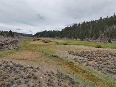Eastern Oregon Cricket Creek Acres - image 20