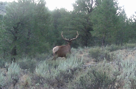Eastern Oregon Cricket Creek Acres - image 45