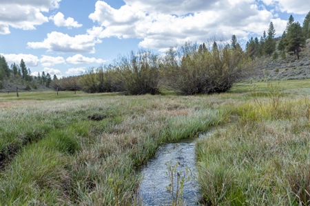 Eastern Oregon Cricket Creek Acres - image 5