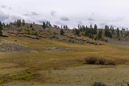 Eastern Oregon Cricket Creek Acres - image 13