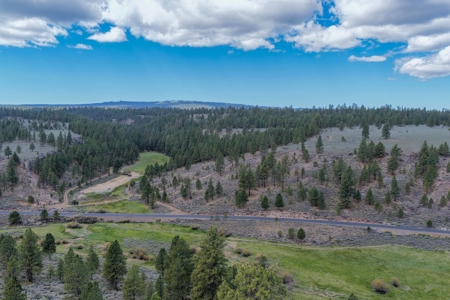 Eastern Oregon Cricket Creek Acres - image 8