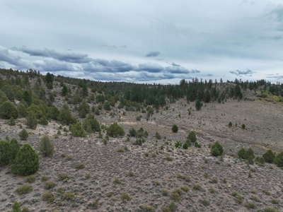 Eastern Oregon Cricket Creek Acres - image 26