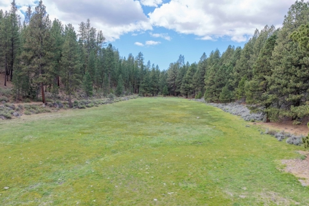 Eastern Oregon Cricket Creek Acres - image 45