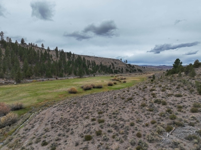 Eastern Oregon Cricket Creek Acres - image 24