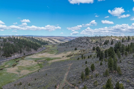 Eastern Oregon Cricket Creek Acres - image 9