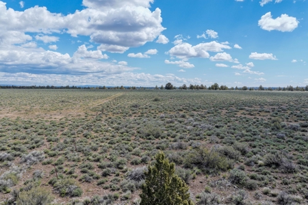 Eastern Oregon Cricket Creek Acres - image 11