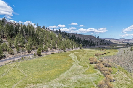 Eastern Oregon Cricket Creek Acres - image 12