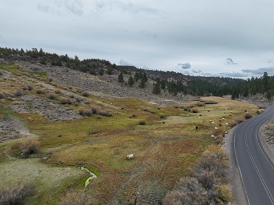 Eastern Oregon Cricket Creek Acres - image 41