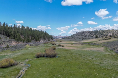 Eastern Oregon Cricket Creek Acres - image 6