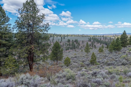 Eastern Oregon Cricket Creek Acres - image 41