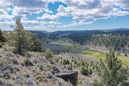 Eastern Oregon Cricket Creek Acres - image 2