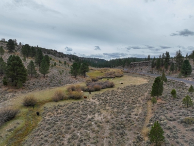 Eastern Oregon Cricket Creek Acres - image 38