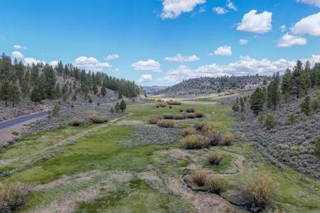 Eastern Oregon Cricket Creek Acres - image 44