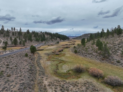 Eastern Oregon Cricket Creek Acres - image 39
