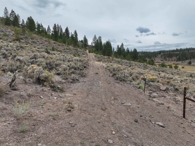 Eastern Oregon Cricket Creek Acres - image 30