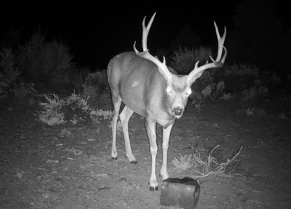 Eastern Oregon Cricket Creek Acres - image 47