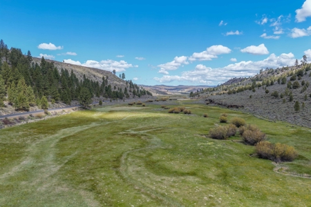 Eastern Oregon Cricket Creek Acres - image 10