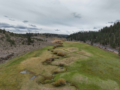 Eastern Oregon Cricket Creek Acres - image 21