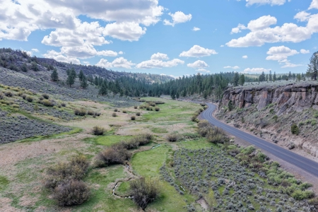 Eastern Oregon Cricket Creek Acres - image 37