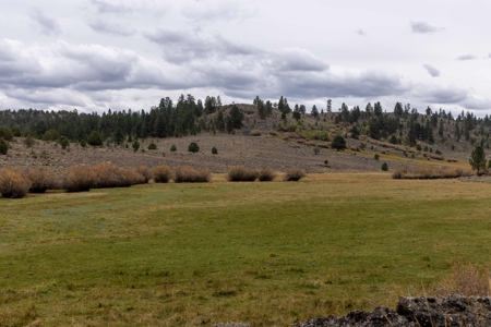 Eastern Oregon Cricket Creek Acres - image 15