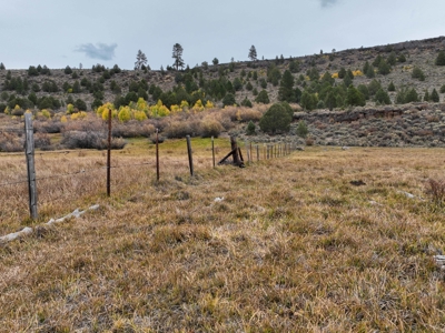 Eastern Oregon Cricket Creek Acres - image 18