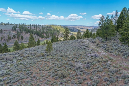 Eastern Oregon Cricket Creek Acres - image 42