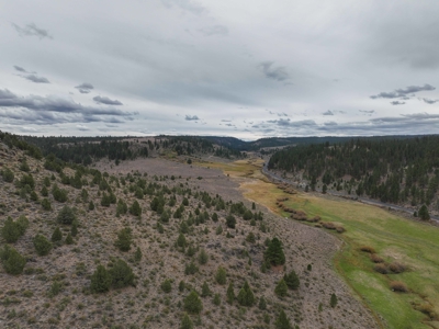 Eastern Oregon Cricket Creek Acres - image 19