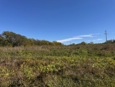 Daviess County Mo 40 Acres For Sale - image 2