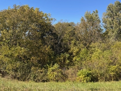 Daviess County Mo 40 Acres For Sale - image 6