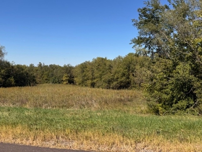 Daviess County Mo 40 Acres For Sale - image 5