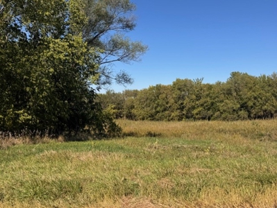 Daviess County Mo 40 Acres For Sale - image 4
