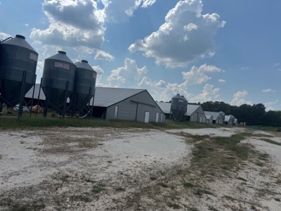 Highly Productive Poultry Farm Located in Wood County Texas - image 3
