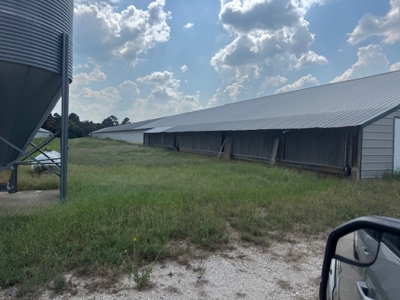 Highly Productive Poultry Farm Located in Wood County Texas - image 5