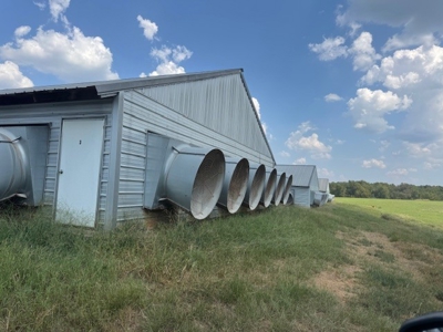 Highly Productive Poultry Farm Located in Wood County Texas - image 9