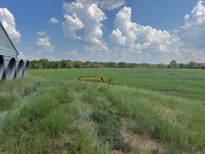 Highly Productive Poultry Farm Located in Wood County Texas - image 18