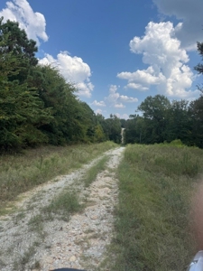 Highly Productive Poultry Farm Located in Wood County Texas - image 16
